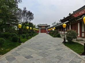 龙逸图片,探寻东方神龙的神秘魅力