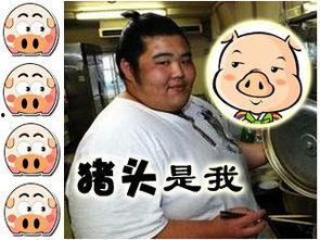 豚首娱乐猪头哥,豚首娱乐的搞笑担当